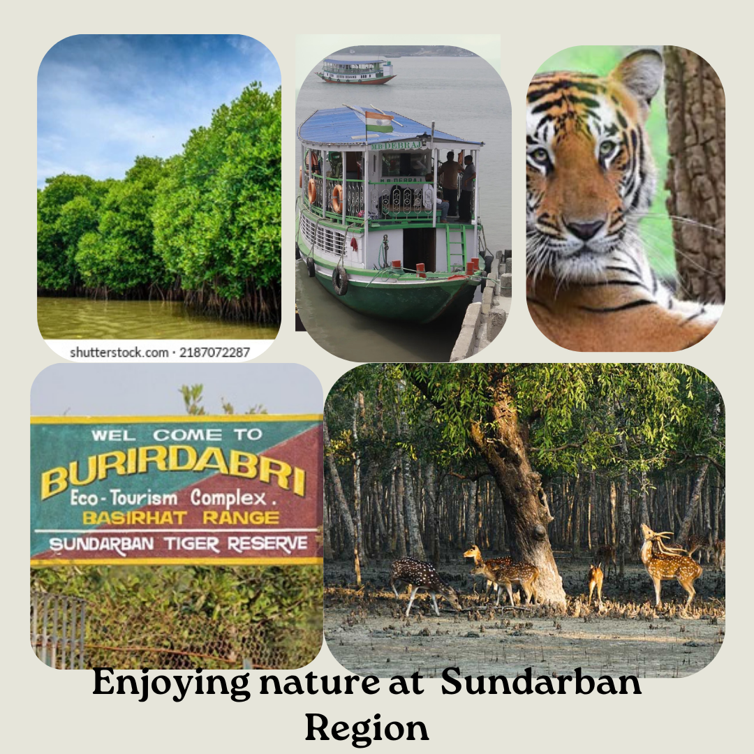 sundarban tourism