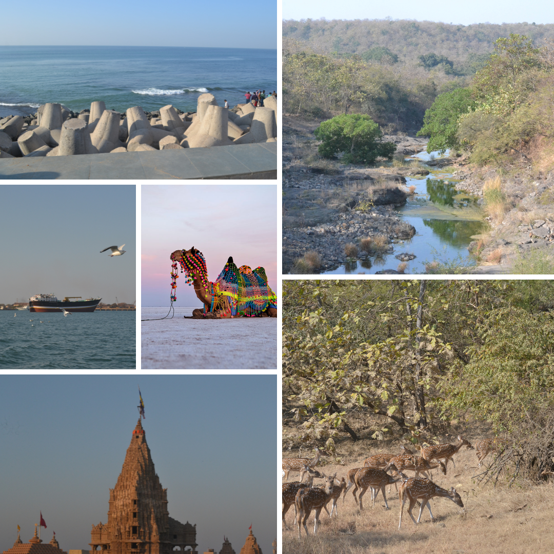 Best places to visit in Gujarat