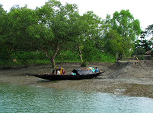sundarban tourism