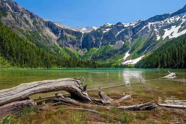Avalanche Lake Viewpoint