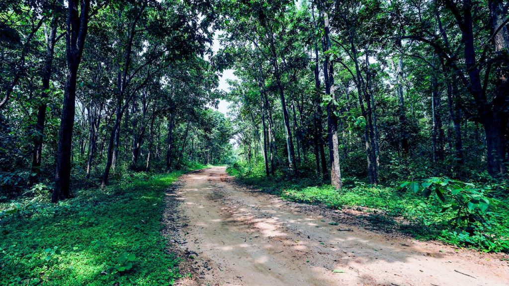 places to visit in Jharkhand: hazaribagh national park