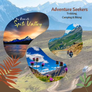 Adventure Seeker
Trekking
camping
biking