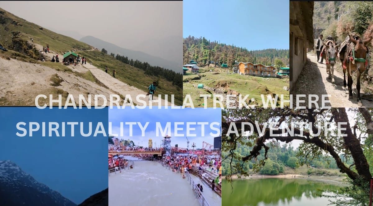 Chandrashila Trek