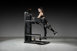 “What is exercise and flexibility "