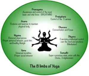 8-limbs-of-yoga-explained-by-the-father-of-yoga