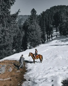 Kashmir Tourism
