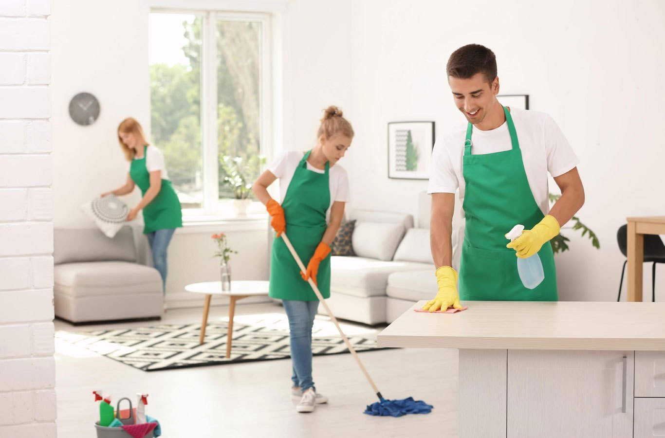 professional house cleaning services