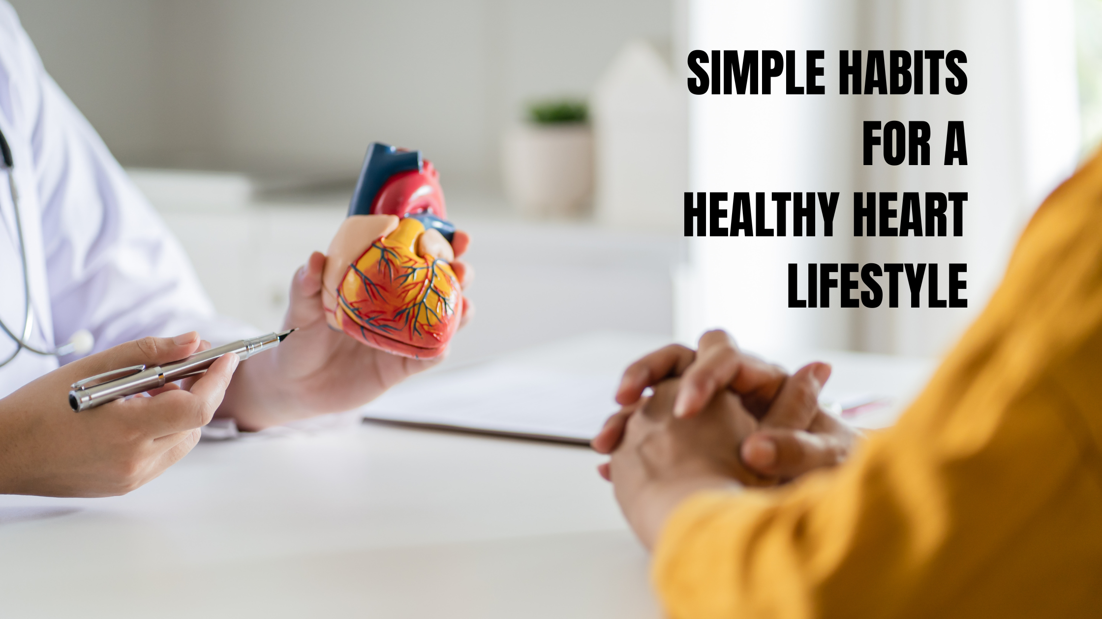 Doctor explaining heart health using a heart model during a medical consultation.