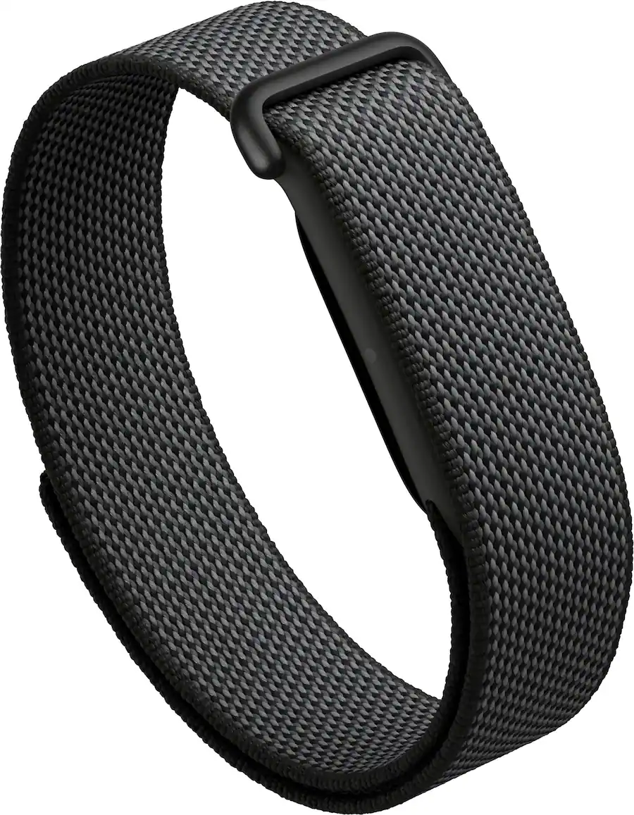 Fitbit Air