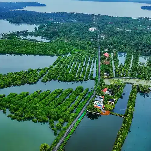 Aerial view of Munroe Island in Kerala, known as Munnar, showing lush green backwaters, narrow roads, coconut trees, canals, and small village houses surrounded by serene waterways.