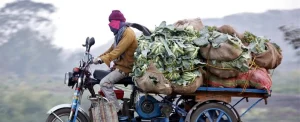 Agricultural supply chain visualization