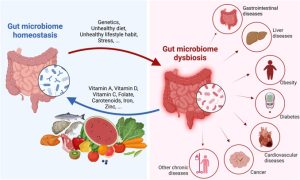 microbiome diagram