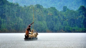 Kerala Monsoon Image 