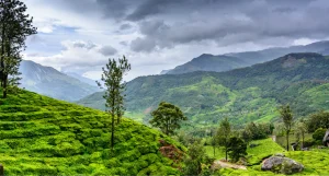 Photography of Kerala Travels