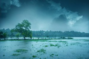 Travel kerala In this Monsoon 