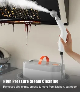 Professional kitchen appliance cleaning