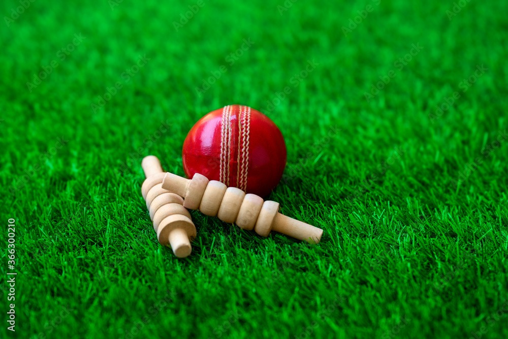 Cricket Ball