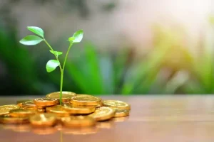 gold investment