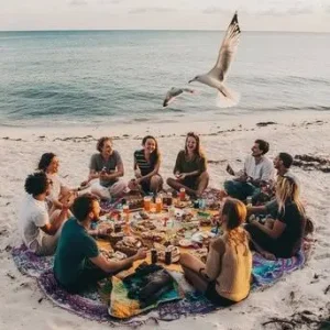 Picnic