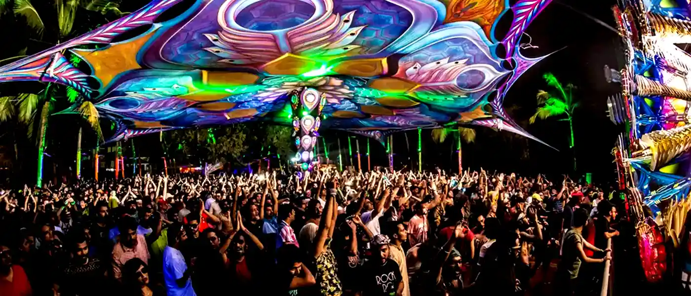 Beach Party At Night