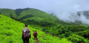 A nature trail through the lush forests of Coorg