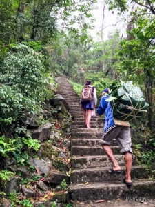 Forest trekking trail to the living root bridges in Nongriat, Meghalaya, during the best time to visit Meghalaya.
