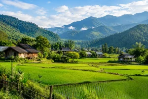 Hidden gems in India featuring the green hills, rice fields, and traditional homes of Ziro Valley, hill stations