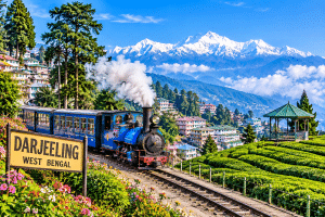 Darjeeling, one of the cheap hill stations in India, featuring lush tea gardens and scenic Himalayan mountain views.