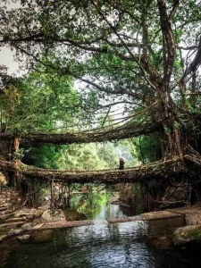 Double Decker Living Root Bridge in Nongriat, Meghalaya, showcasing Khasi culture and traditional root weaving.